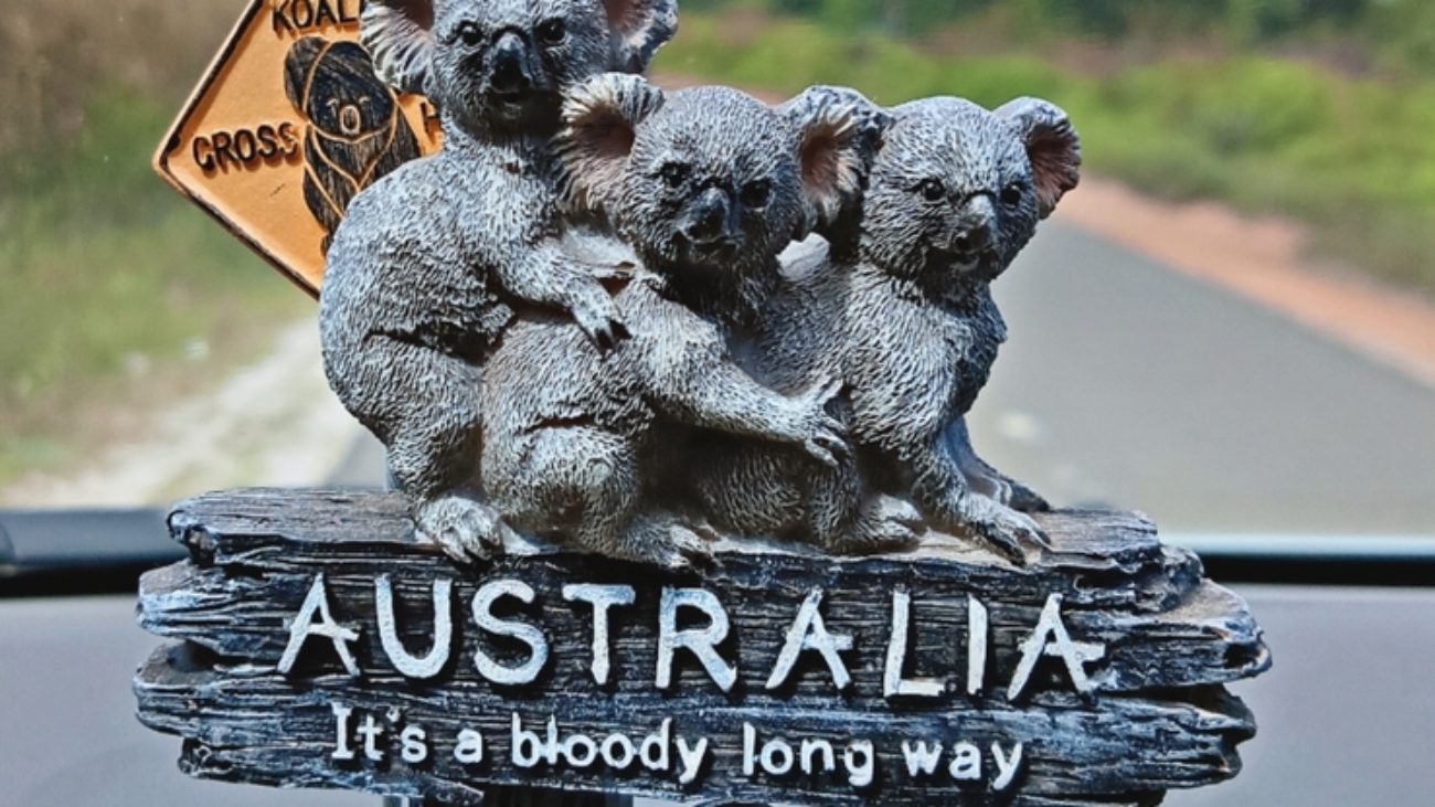 Mini Koala Statue from Australia - Iconic Australian Souvenir